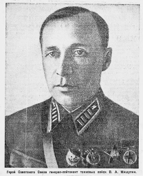 Мишулин