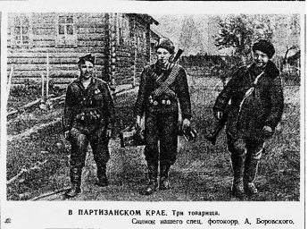 В партизанском крае. Три товарища