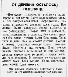 От деревни осталось пепелище