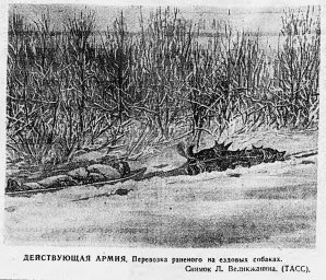 Действующая армия